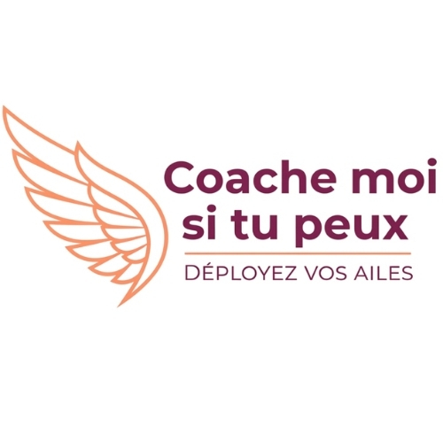 Logo Coache moi si tu peux - Résident avec accompagnement et hébergement
